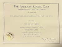the american kennel club certificate